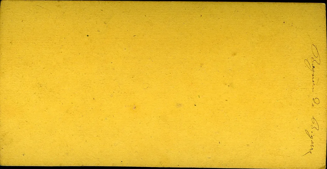 p013.jpg