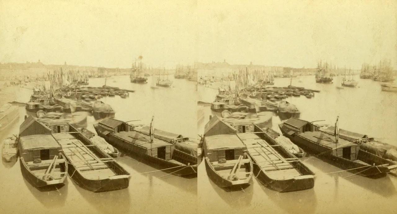 p003.jpg