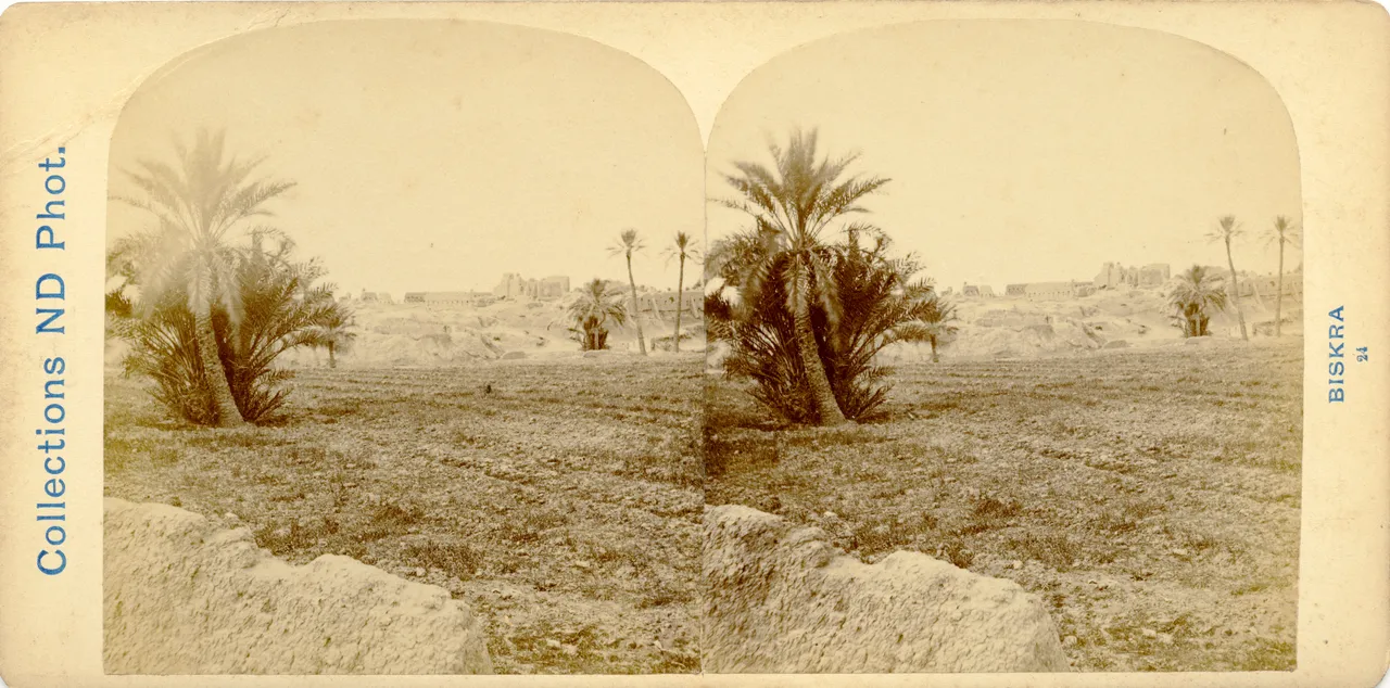 SAB010.jpg