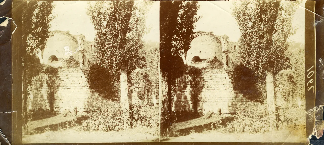 SAB086.jpg