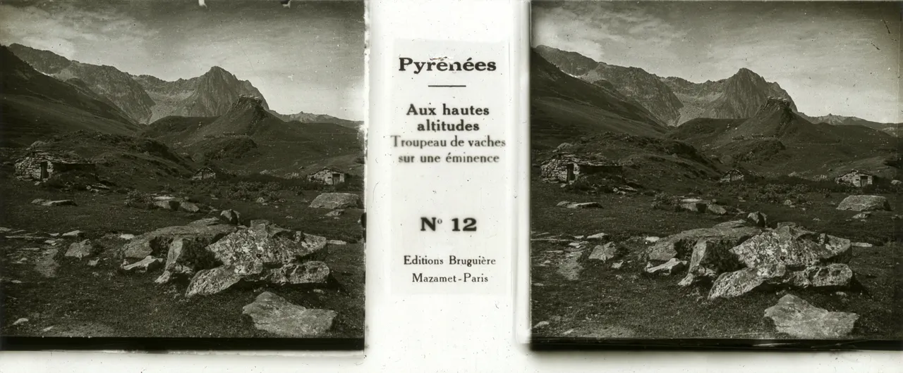 JPL262.jpg