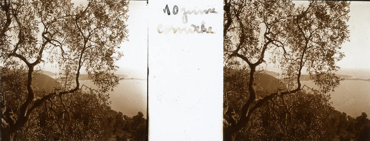 RL055.jpg