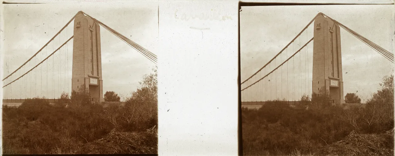 RL116.jpg