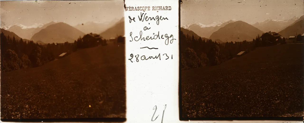 RL264.jpg