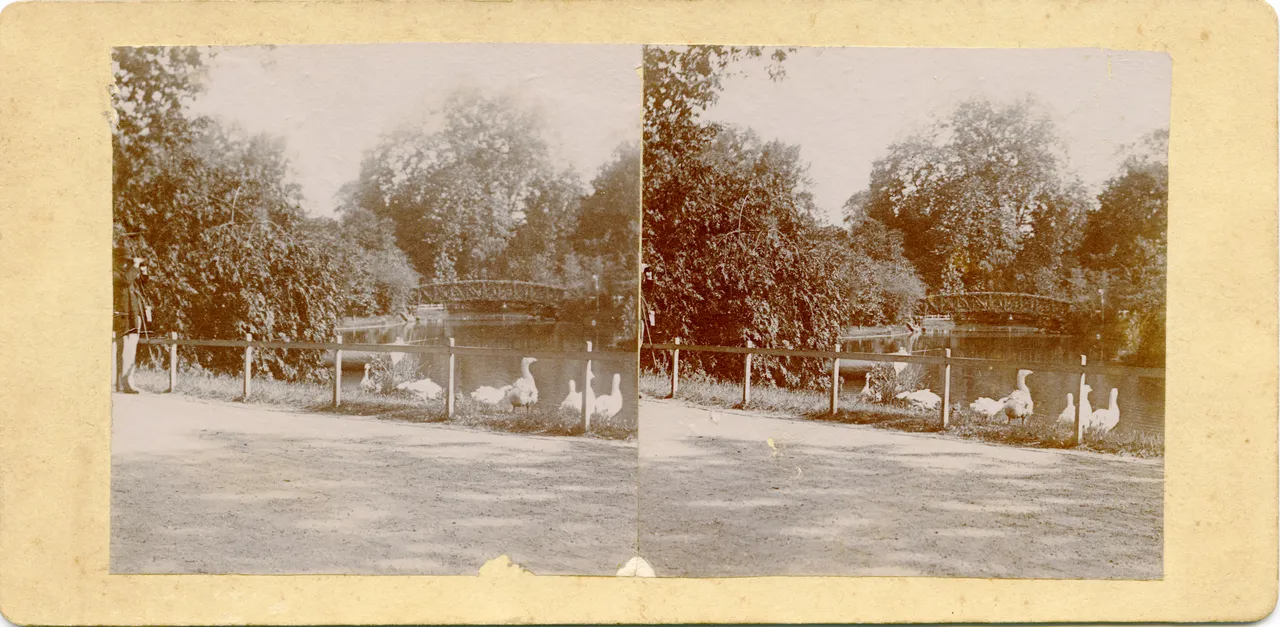 CG024.jpg