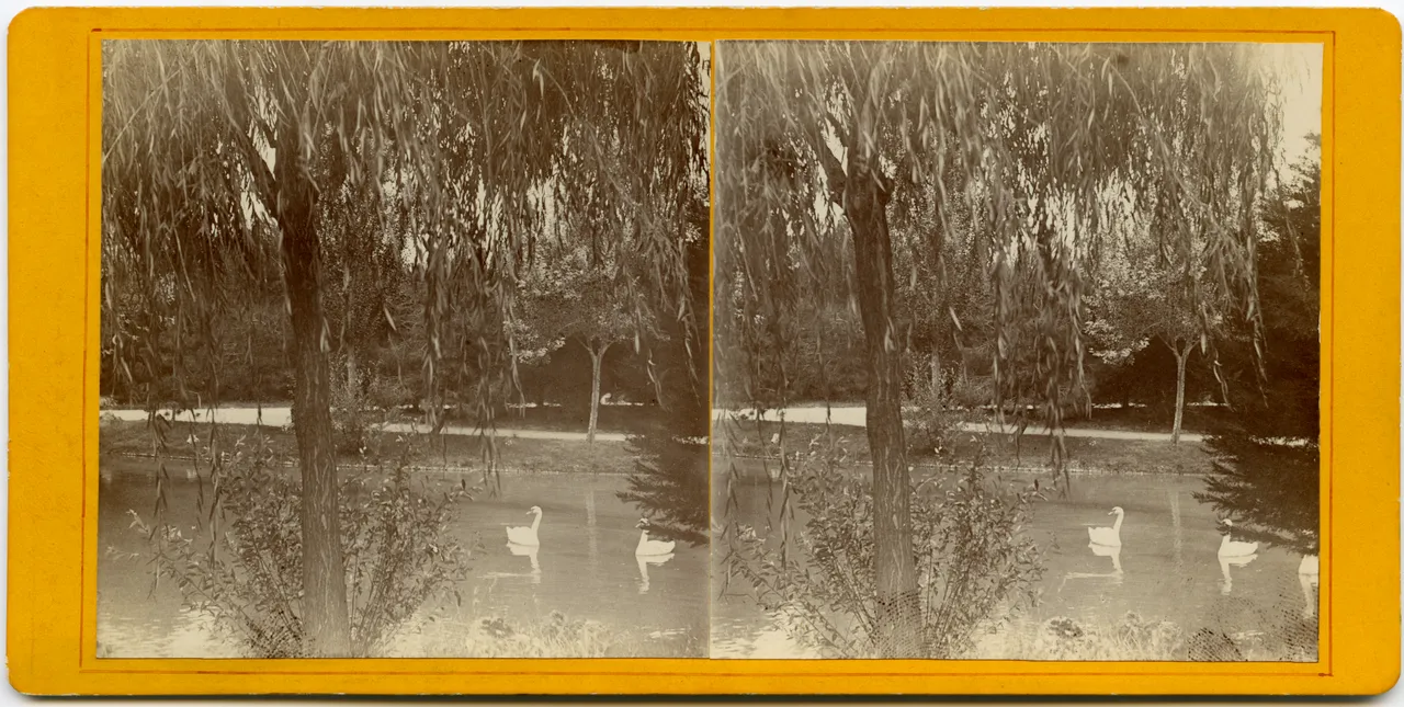 CG055.jpg
