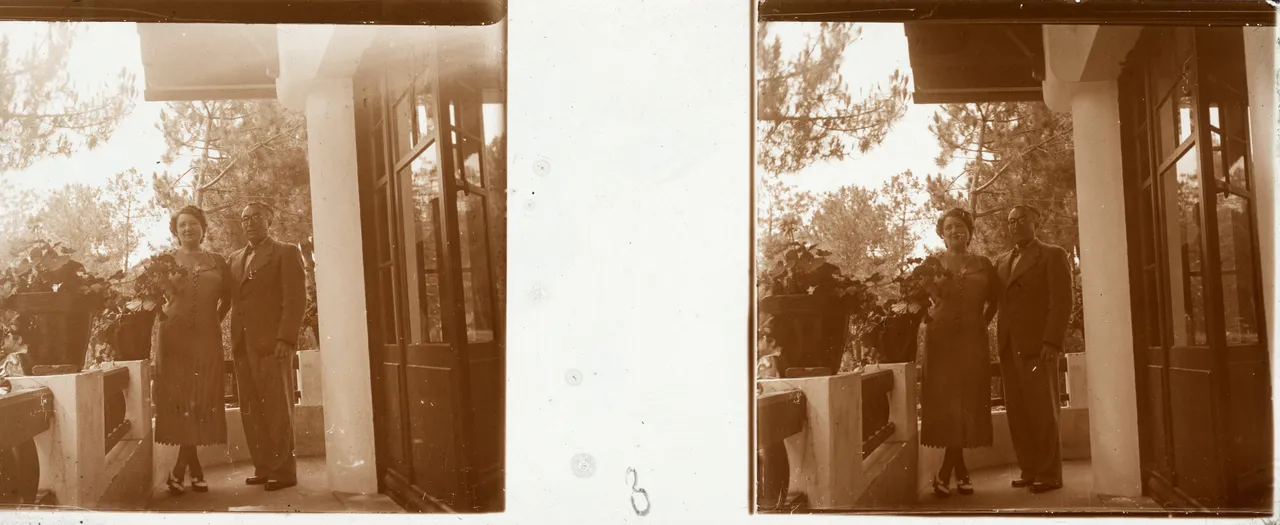 DD011.jpg