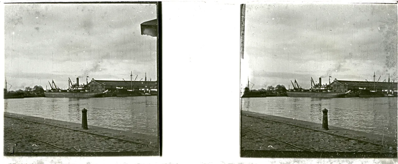 LM005.jpg