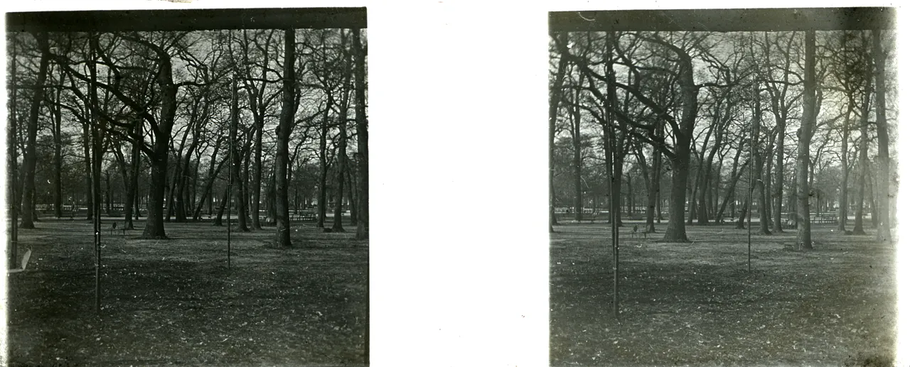 LM014.jpg