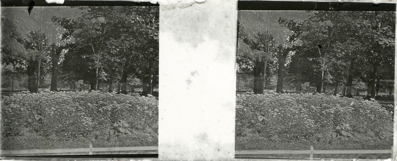 LM027.jpg