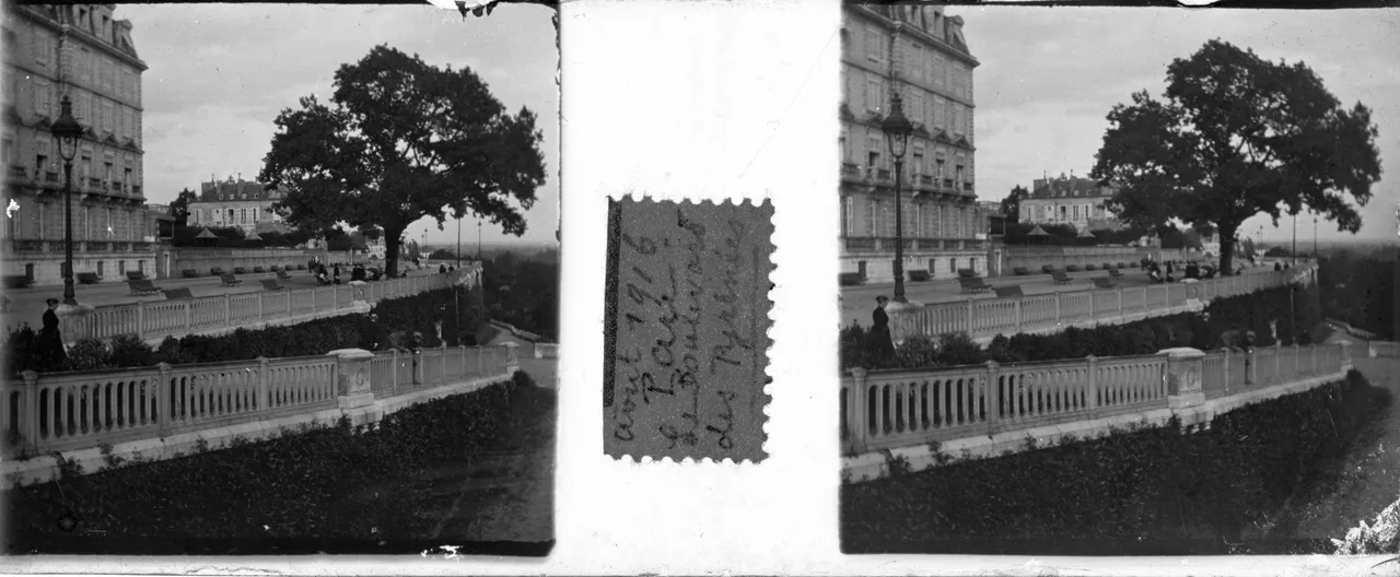 BL310.jpg