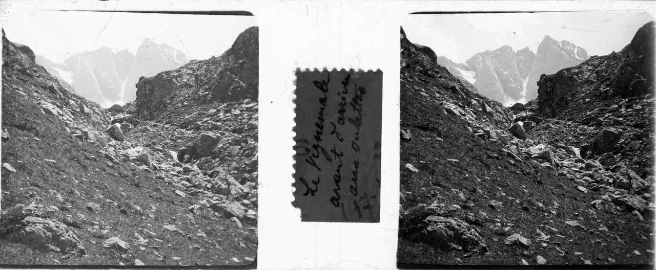 BL317.jpg