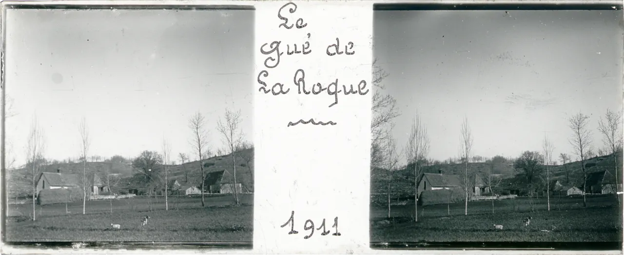 HAL089.jpg