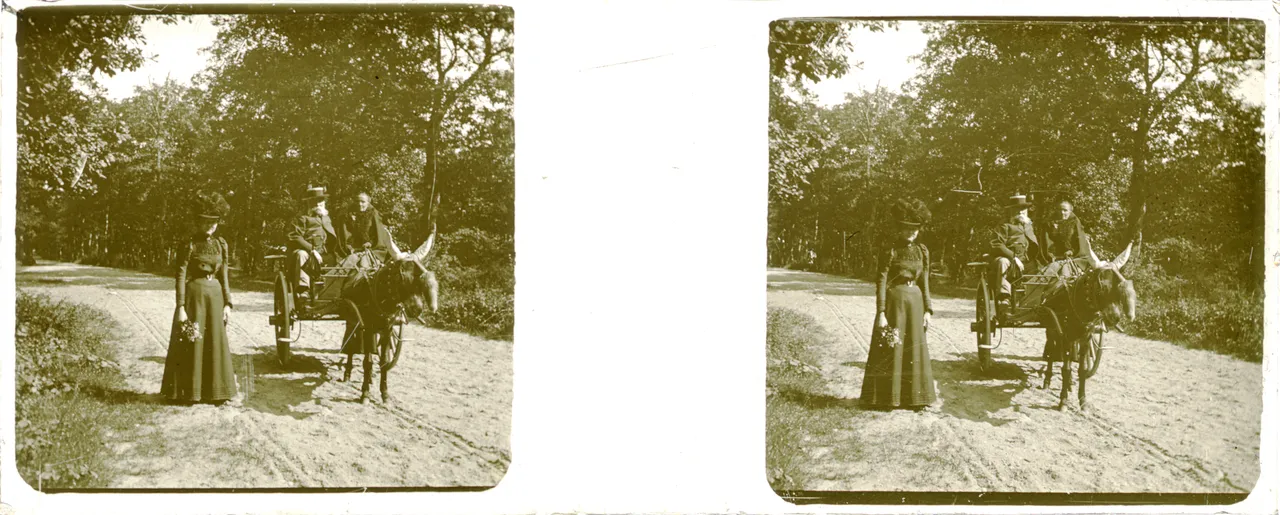 CHA027.jpg