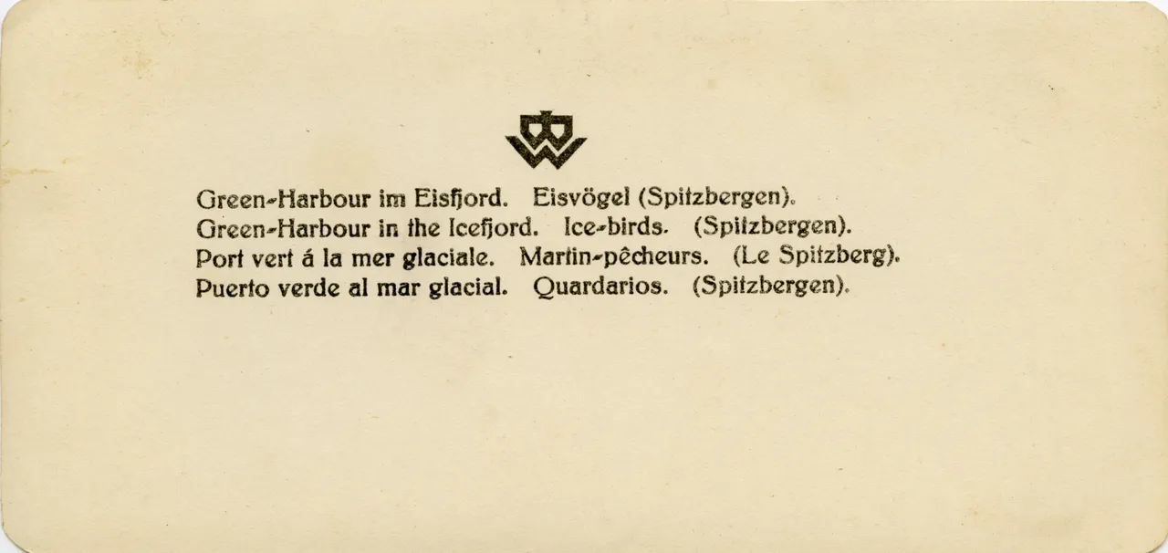 WIE397.jpg