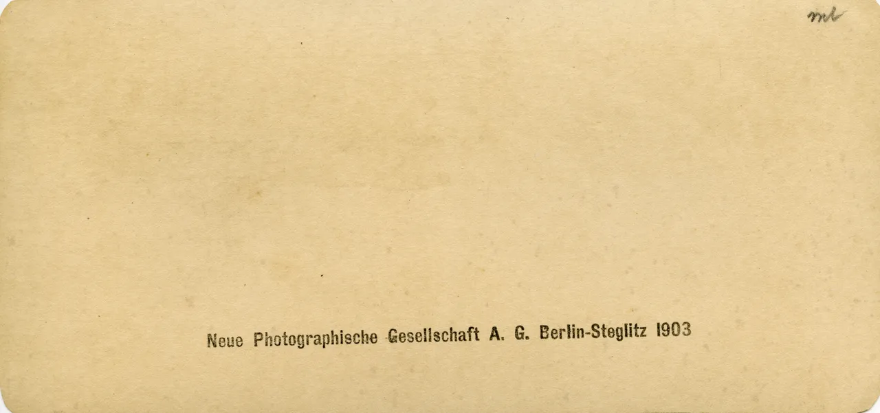 WIE661.jpg