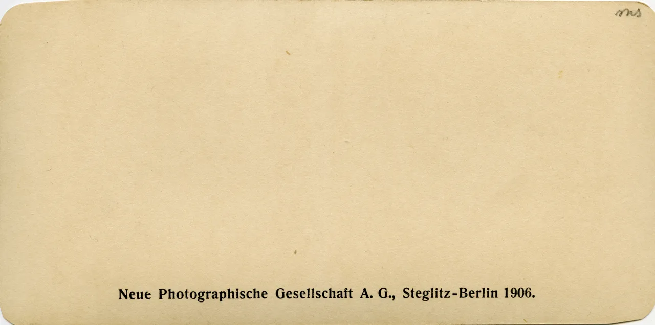 WIE849.jpg
