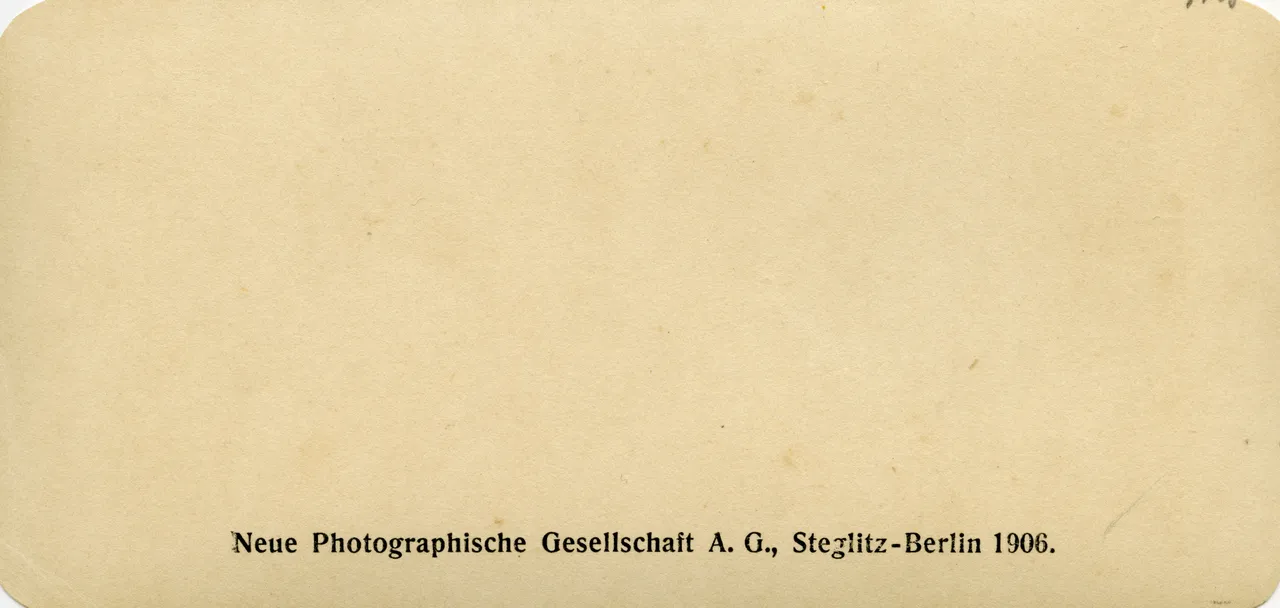 WIE851.jpg