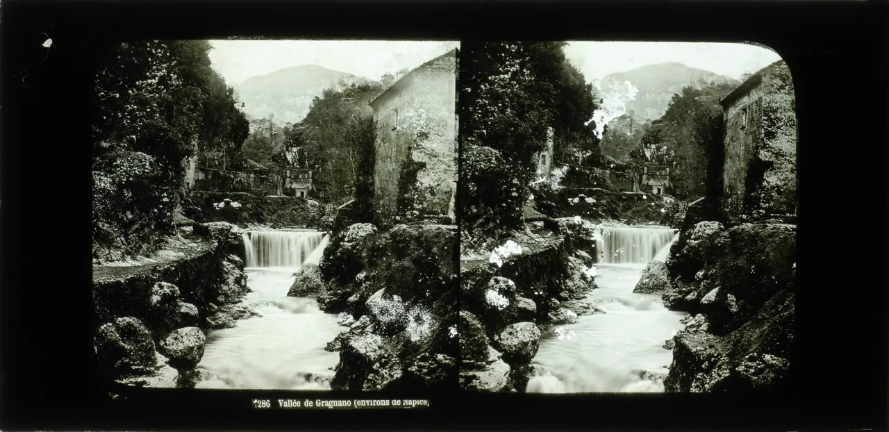 Mag2339.jpg