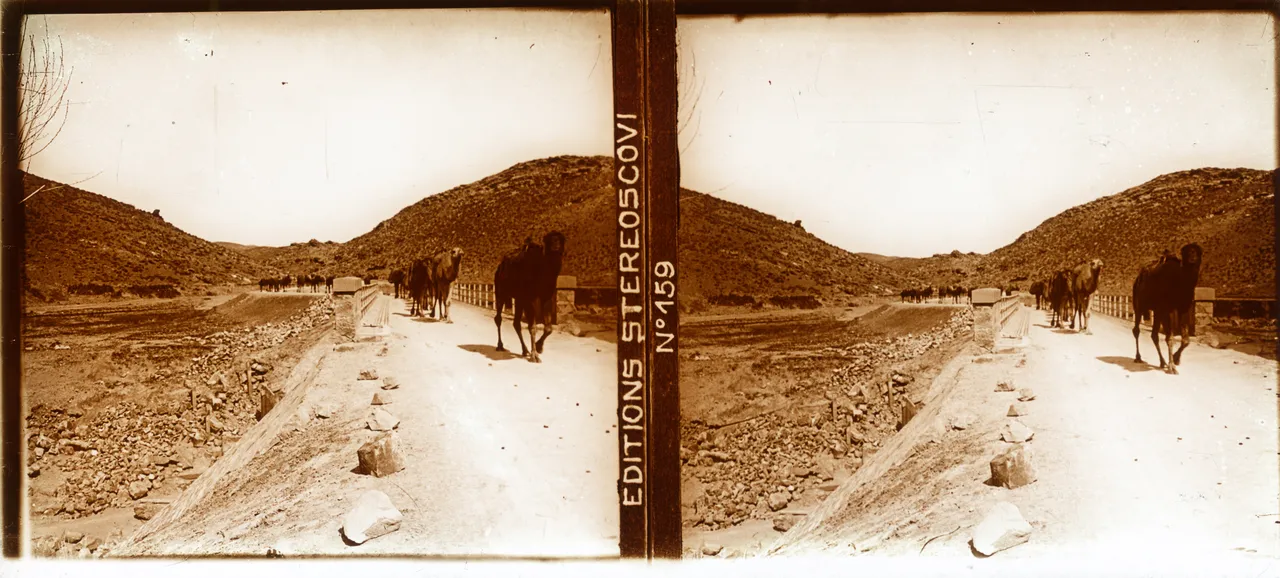 Mag2167.jpg