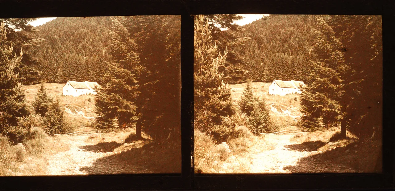 Mag2563.JPG