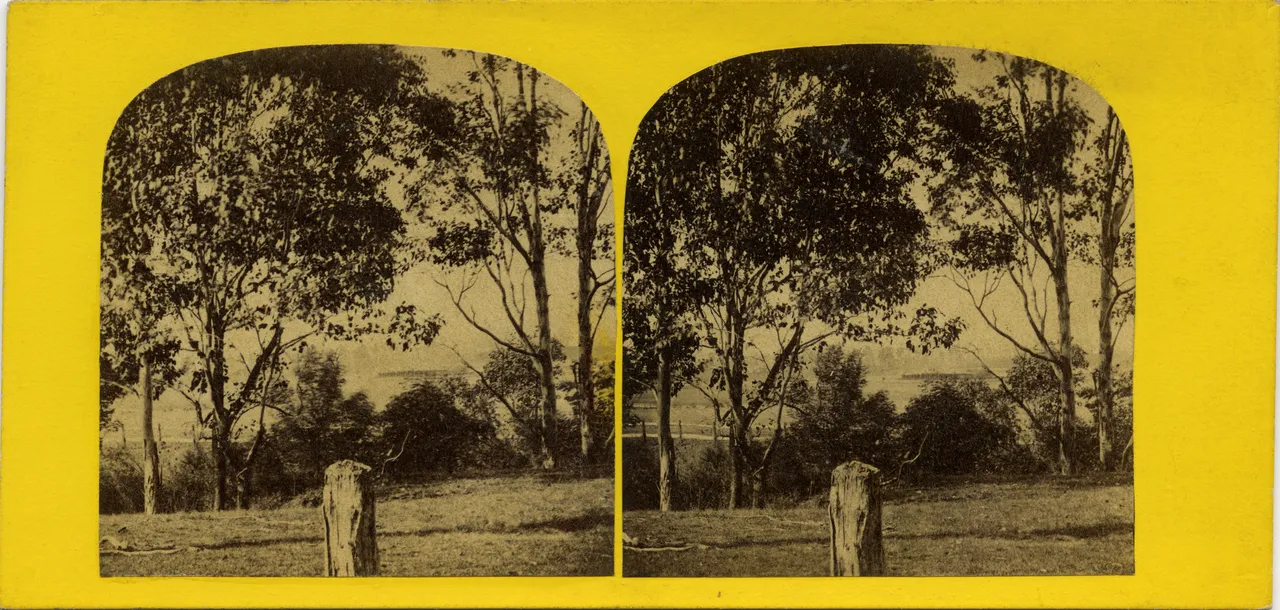 Mag3111.jpg