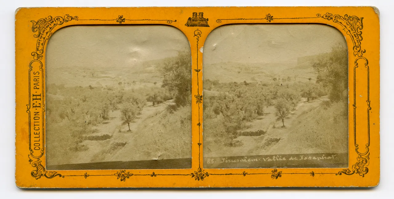 Mag3223.jpg