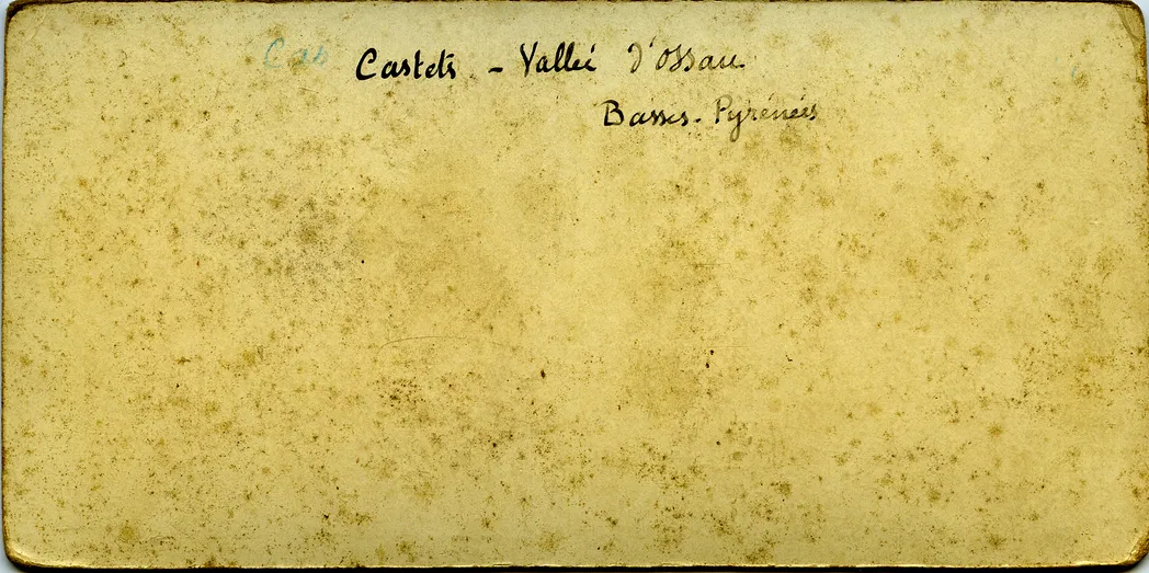 Mag3204.jpg