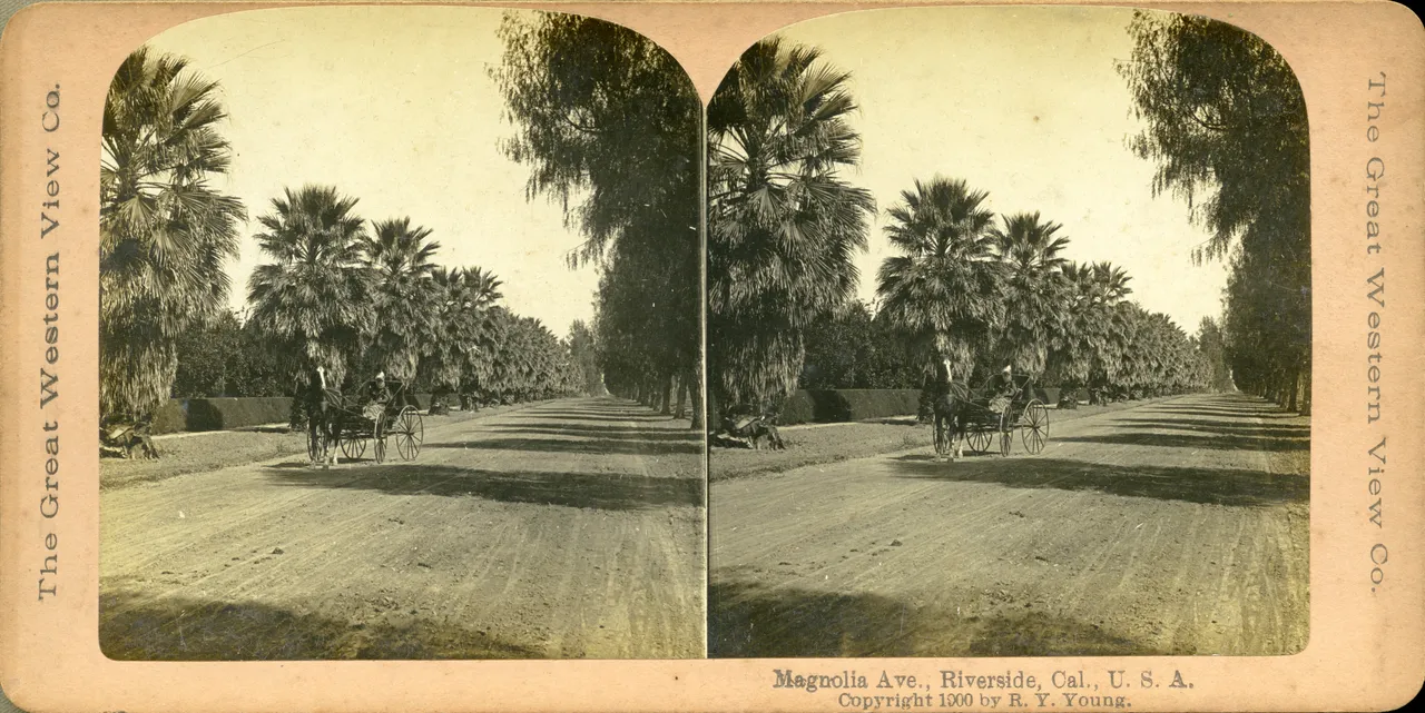 Mag0013.jpg