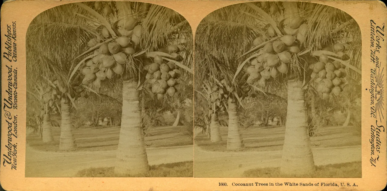 Mag0042.jpg