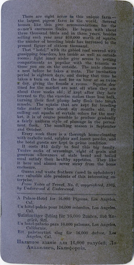Mag0047.jpg