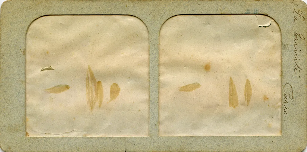 Mag0288.jpg