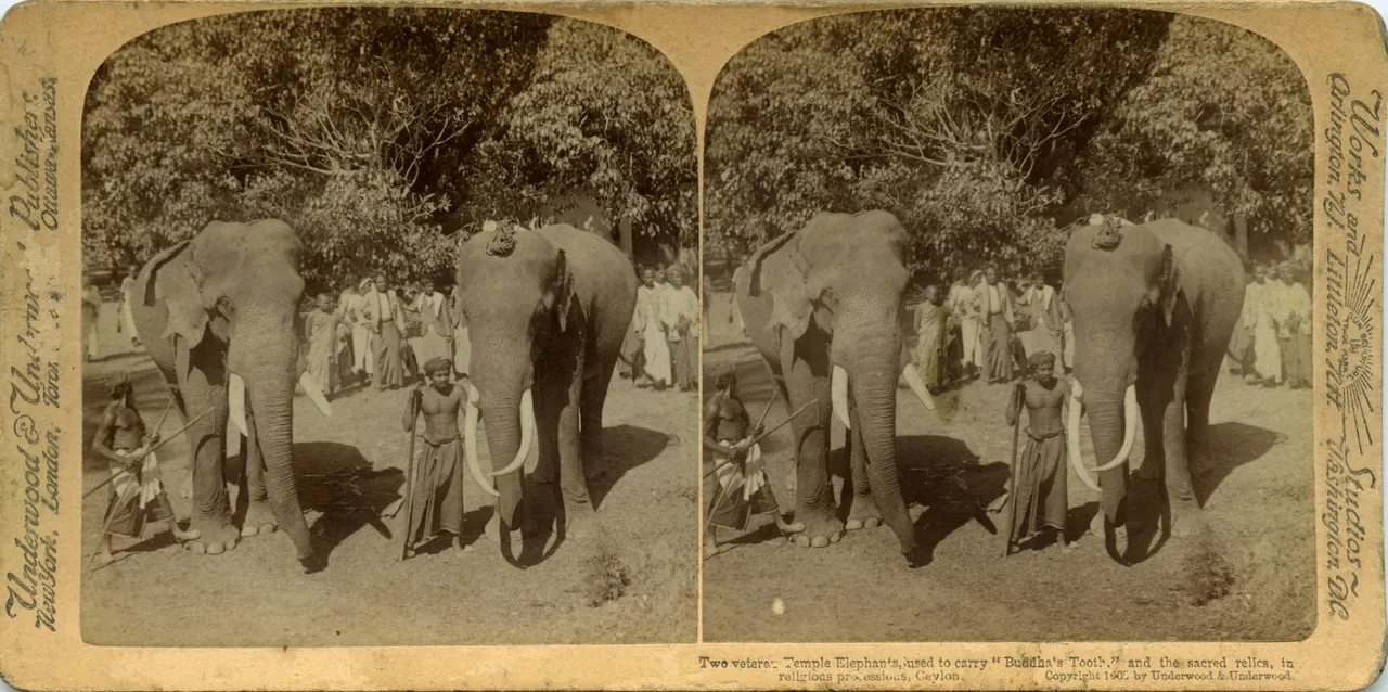 Mag0561.jpg