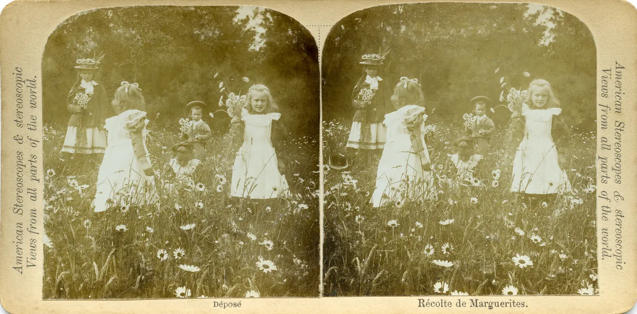 Mag0645.jpg