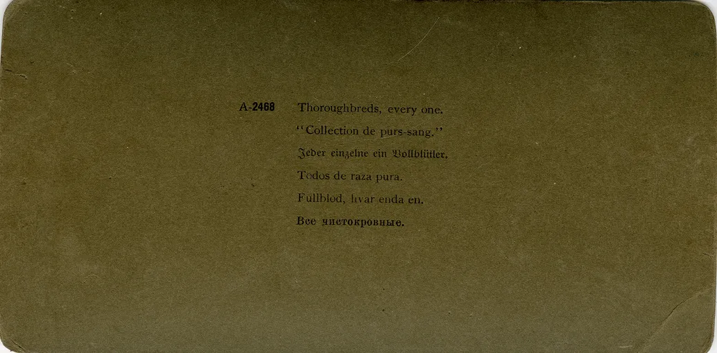 Mag0655.jpg