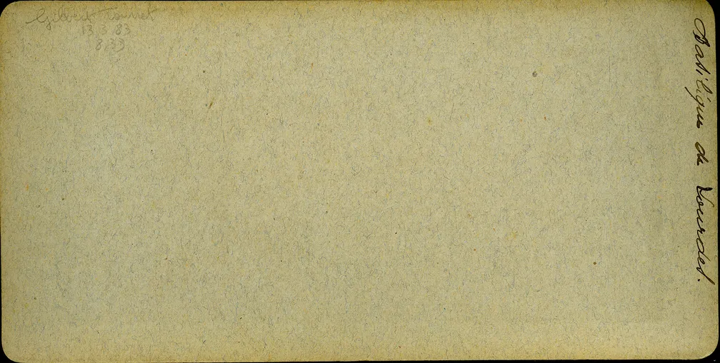 Mag0713.jpg