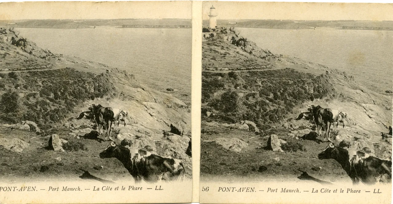 Mag1122.jpg