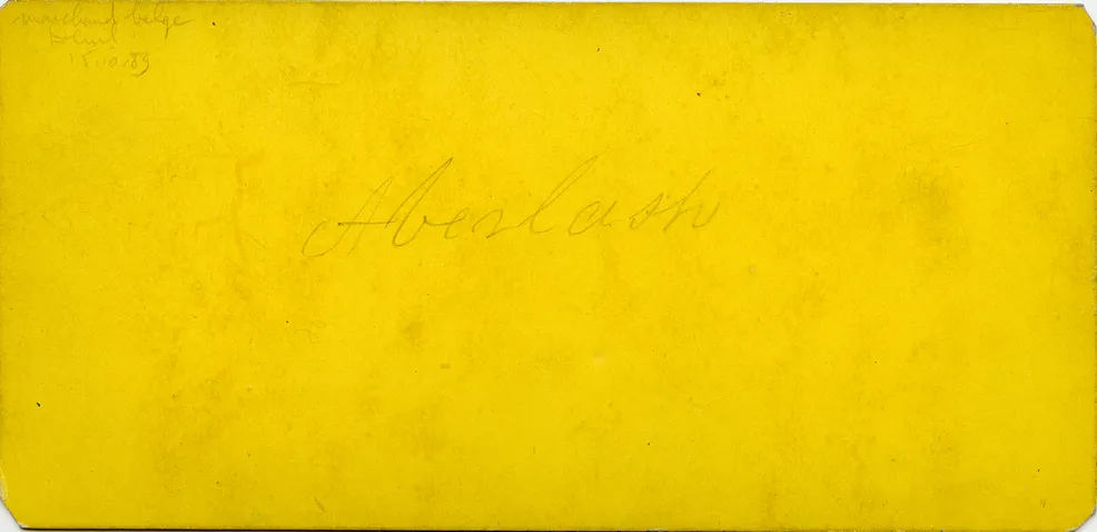 Mag1335.jpg