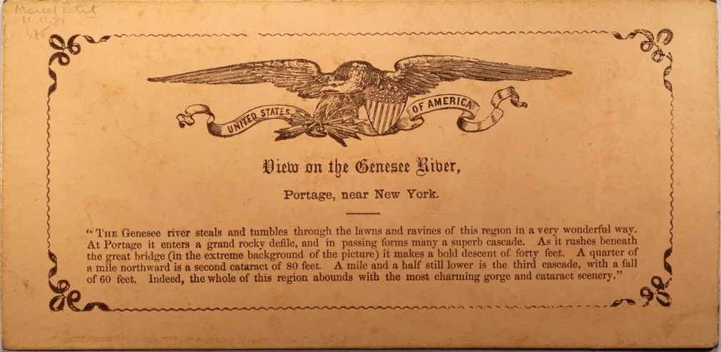 Mag1454.JPG