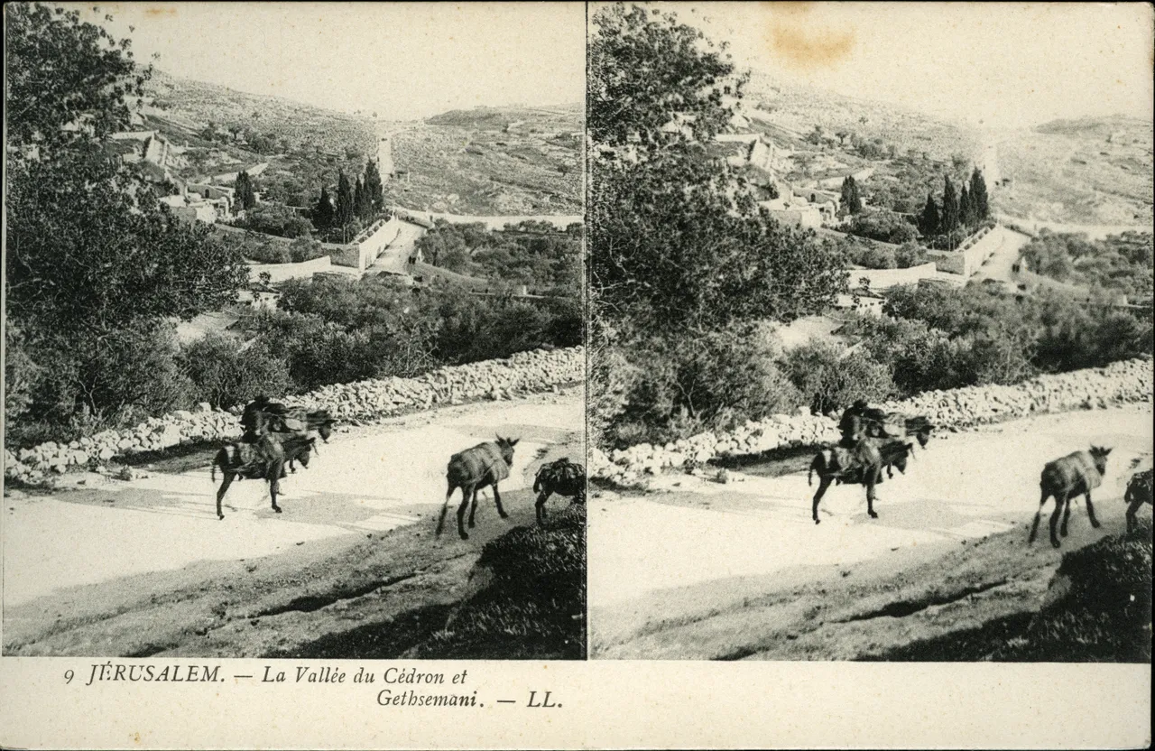 Mag1875.jpg