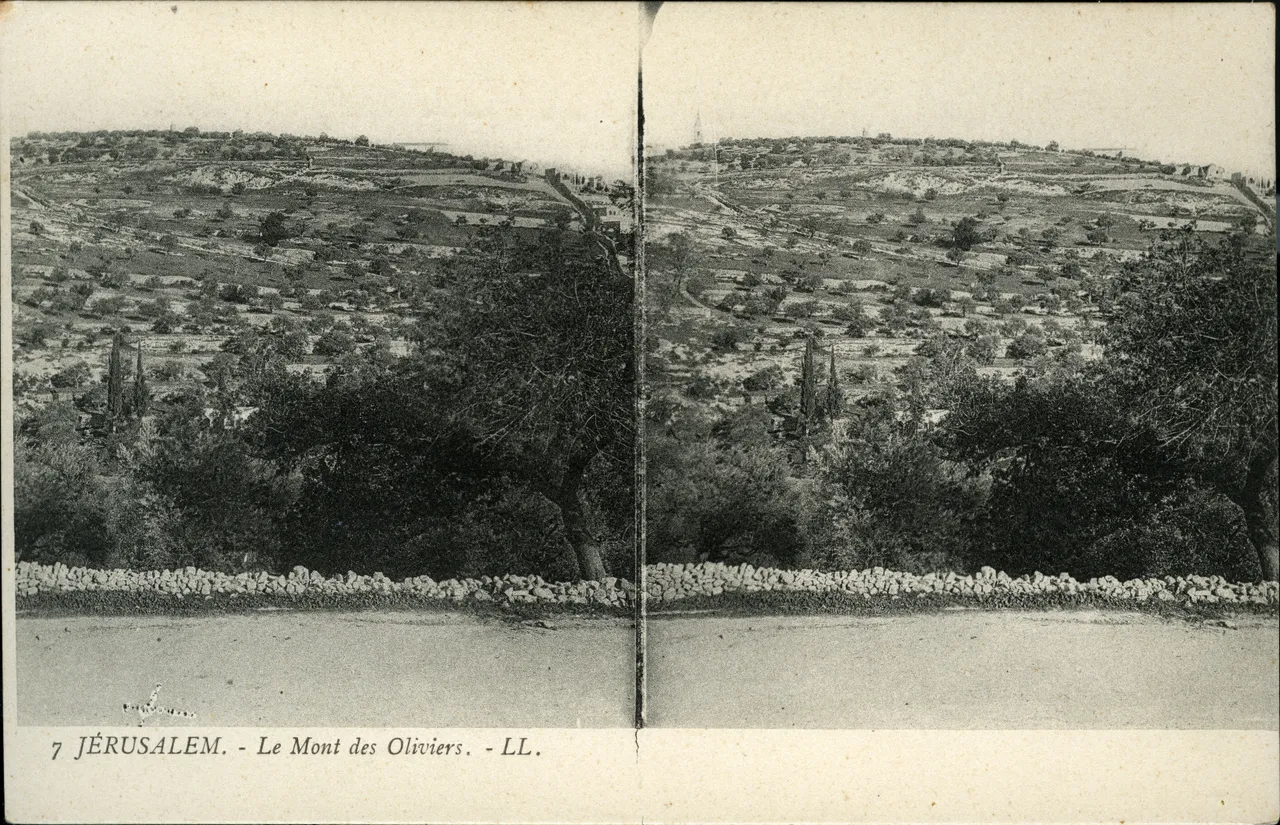 Mag1877.jpg
