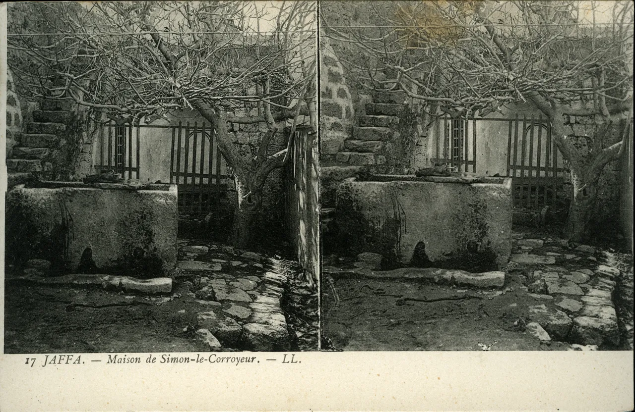 Mag1884.jpg