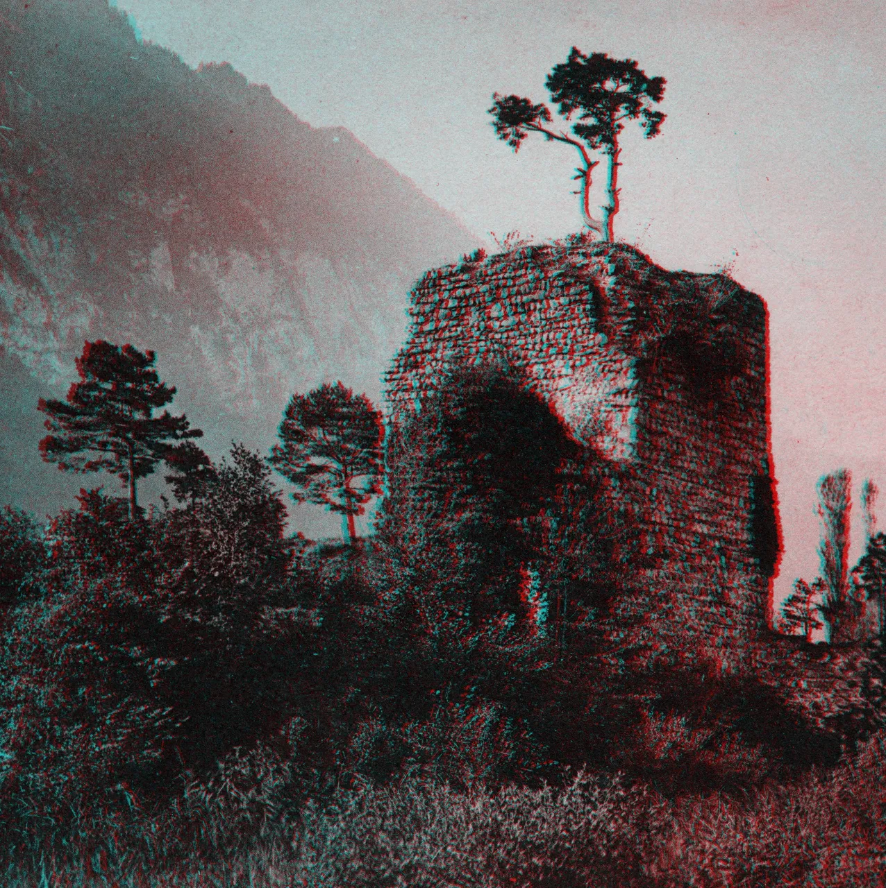 Mag1585_ana.JPG