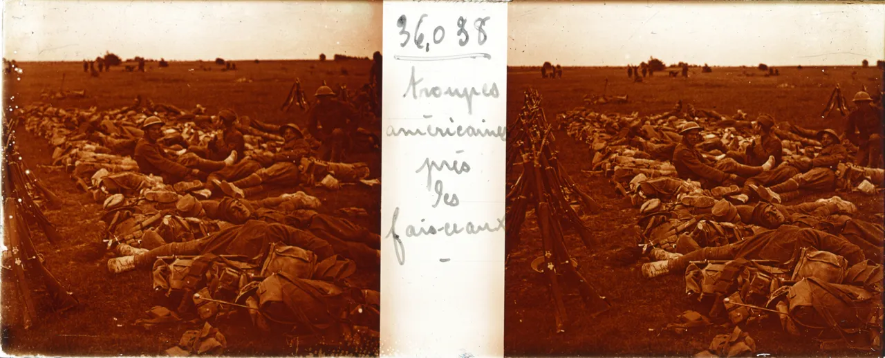 DEZ056.jpg
