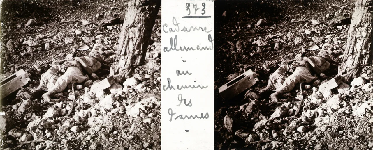 DEZ044.jpg