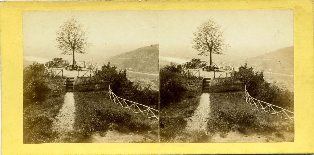MAG3396.jpg