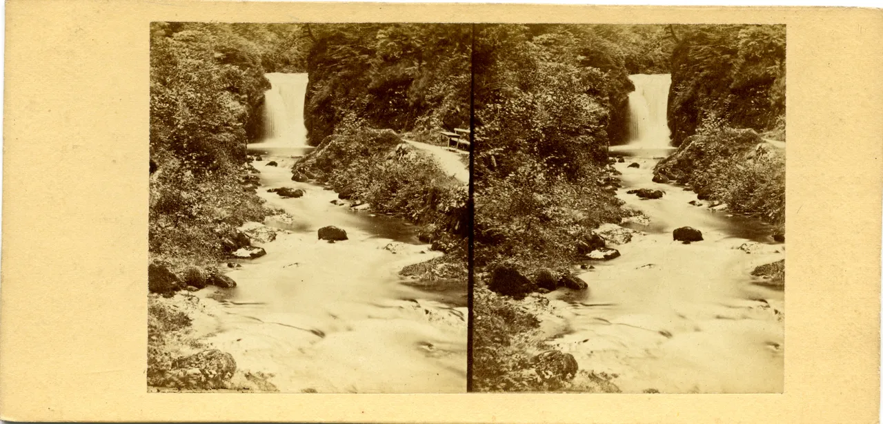 MAG3397.jpg
