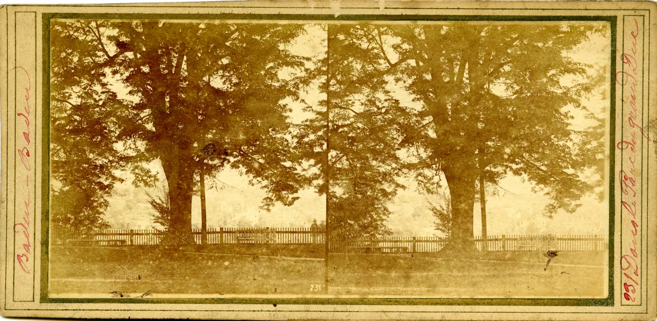 MAG3417.jpg