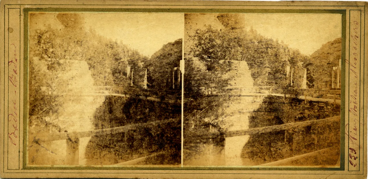 MAG3424.jpg