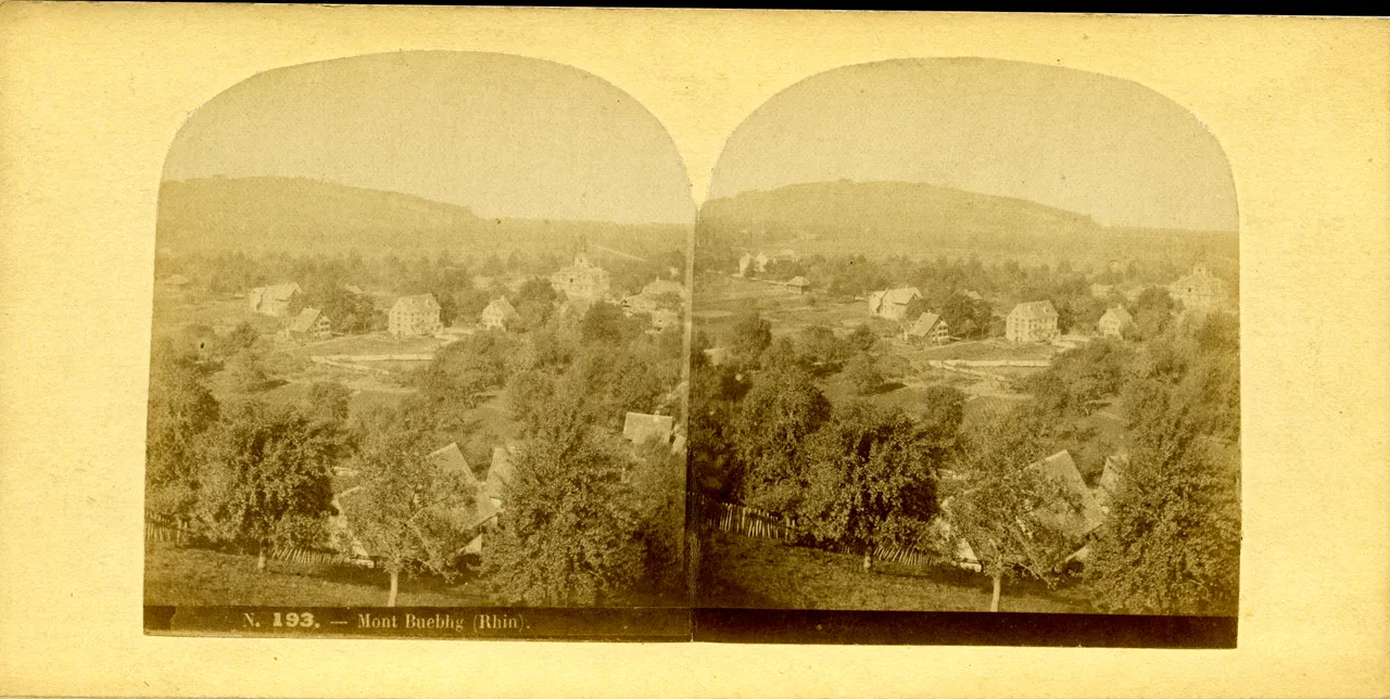 MAG3429.jpg